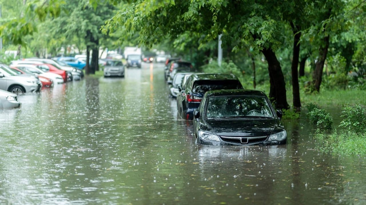 flooded-cars