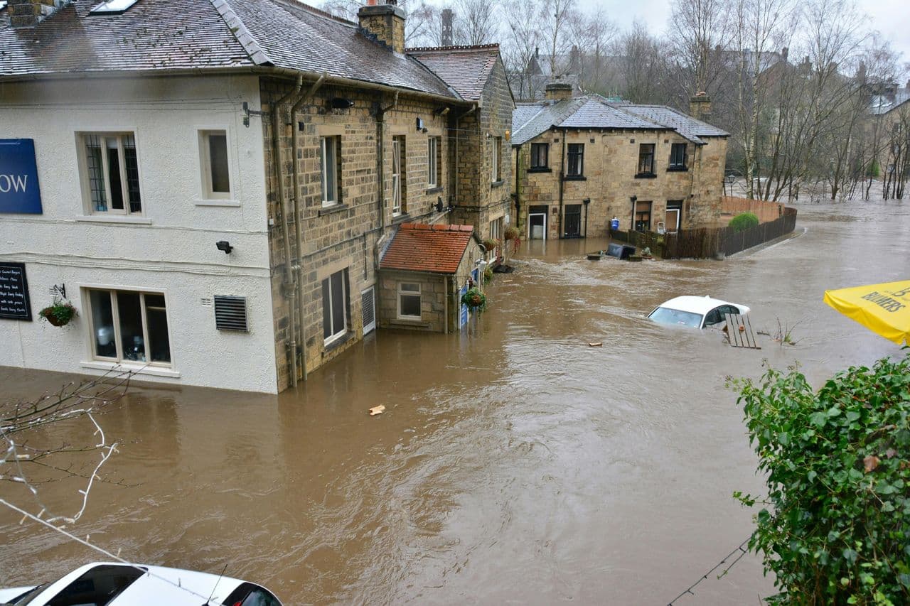 flood-action-week-hero